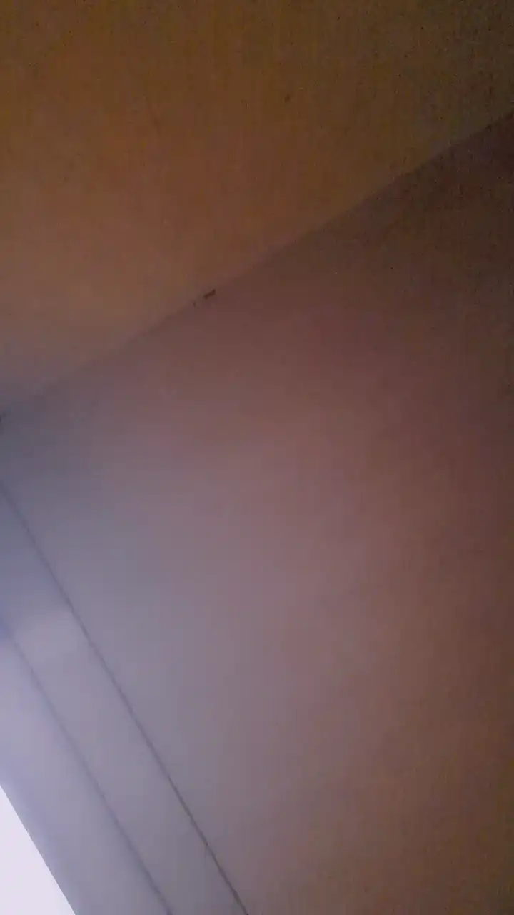 Rusherking91 – [Cam4] Porn Hot Parts Webcam – 2025-12-12 04:00:23