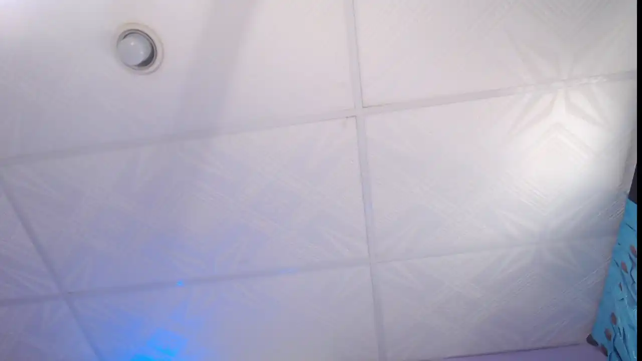 Stephanieowens – [Xlovecam] High Qulity Video Lovely Cam Clip – 2026-01-10 08:15:13